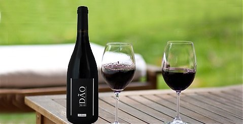 Vinho do Dão